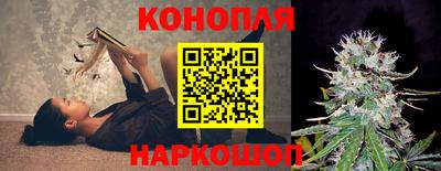 ECSTASY Кингисепп