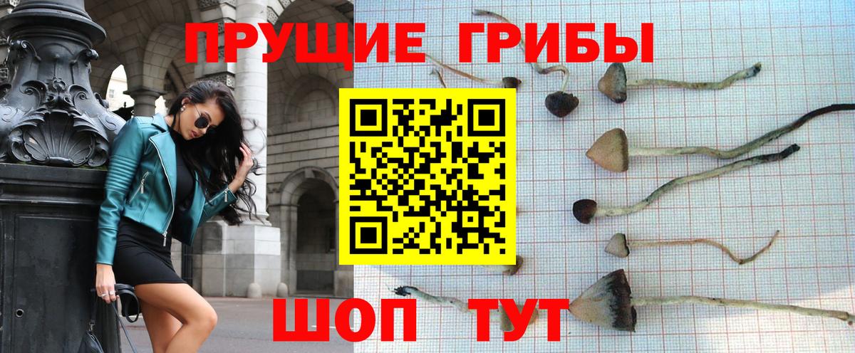 Галлюциногенные грибы MAGIC MUSHROOMS  Вход с VPN  Истра  Псилоцибиновые грибы Magic Shrooms 