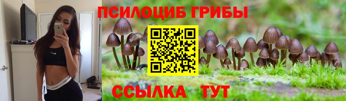 Псилоцибиновые грибы Magic Shrooms Истра